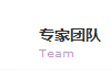 专家团队